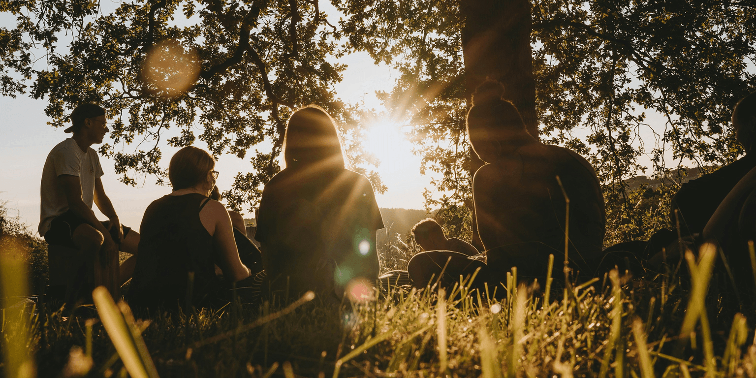 A sunlit forest trail winding through tall green trees